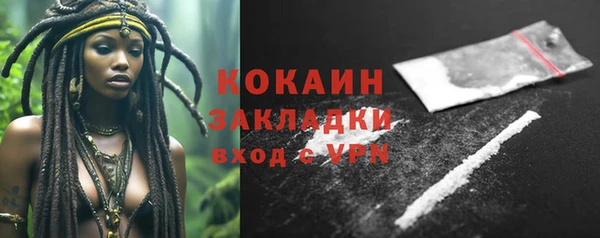 дмт Козловка
