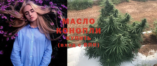 дмт Козловка